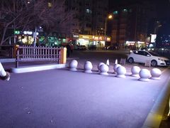 -二一九公园