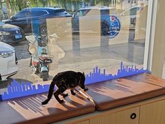 -芭比堂动物医院·CT·微创中心(新顺分院)