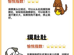 -翊宠yipet猫狗购宠庄园犬舍•猫舍