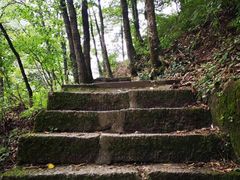 -嘉陵江源头景区