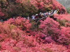 -木兰云雾山