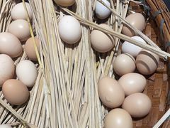 -吾家传承·橄榄妹大排档(陈家祠店)