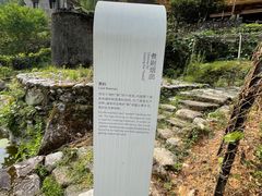 -MOJ coffee(瓯海泽雅水碓坑店)