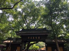 -灵隐飞来峰景区