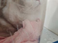 -子乐宠物医院