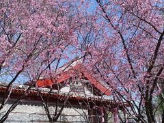 -元大都城垣遗址公园
