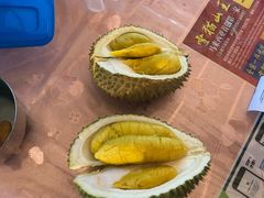 -都念榴莲·城市榴莲