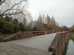 -上海滨江森林公园