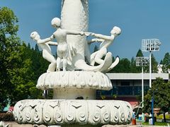 -水杉园
