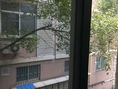 -上海市实验学校