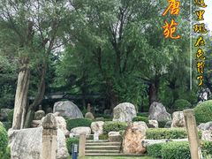 -中国唐苑