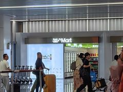 -石家庄正定国际机场-T2航站楼