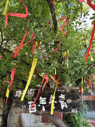 -颐念瑜伽旗舰店
