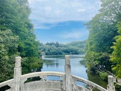 -深圳仙湖植物园