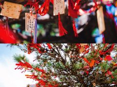 -沂蒙山旅游区龟蒙景区