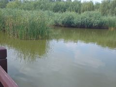 -西青郊野公园