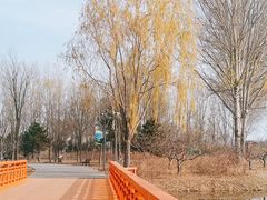 -东郊湿地公园