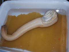 -都斛海鲜街