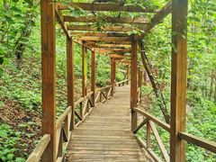 -大岭沟猕猴桃谷风景区
