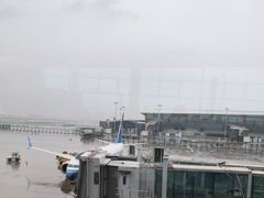 -广州白云国际机场-T2航站楼