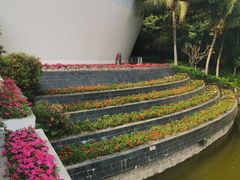 -深圳国际园林花卉博览园