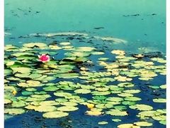 -梁鸿国家湿地公园