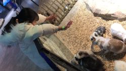 -酷嗒动物文化乐园(cutezoo西溪乐天城店)