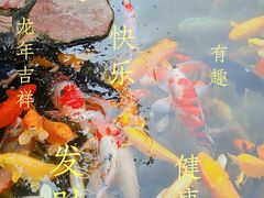 -下海庙