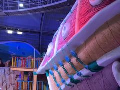 -烟台海昌鲸鲨海洋公园