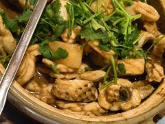 -鲤鱼塘农家山庄