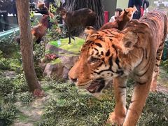 -国家自然博物馆