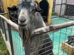 -明珠湖天鹅苑·农家菜馆