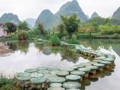 -靖西鹅泉风景区