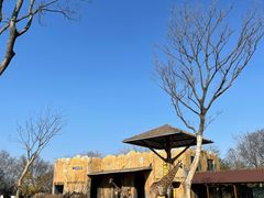 -扬州市茱萸湾风景区