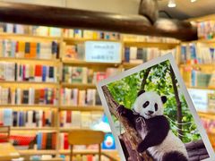 -猫的天空之城概念书店(苏州平江店)