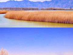 -野鸭湖国家湿地公园