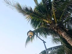 -深圳湾公园(南山区)