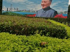 -荔枝公园-小平画像广场