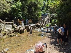 -江西阳明山国家森林公园