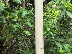 -碧水湾温泉
