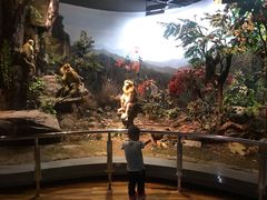 -陕西自然博物馆