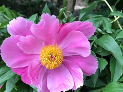 -广西壮族自治区药用植物园