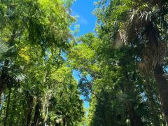 -上海海湾国家森林公园