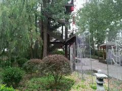 -合肥滨湖国家森林公园