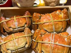 -黄记大闸蟹专卖店·活蟹·醉蟹