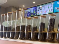 -雾与山茶(大禹城店)