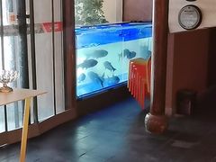 -阿瓦山寨·湘菜现炒·剁椒鱼头王(咸阳总店)