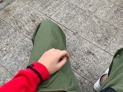 -万绿园