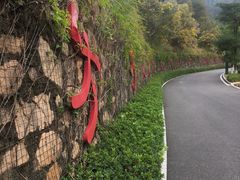 -神光山国家森林公园