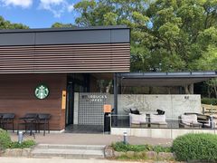 -星巴克(大濠公园店)